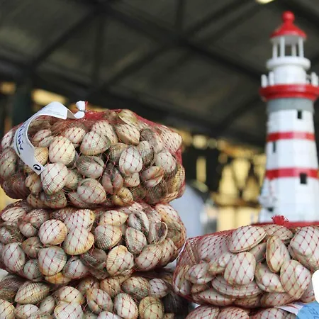 Muralha 2 - - By Sch Lägenhet Nazaré