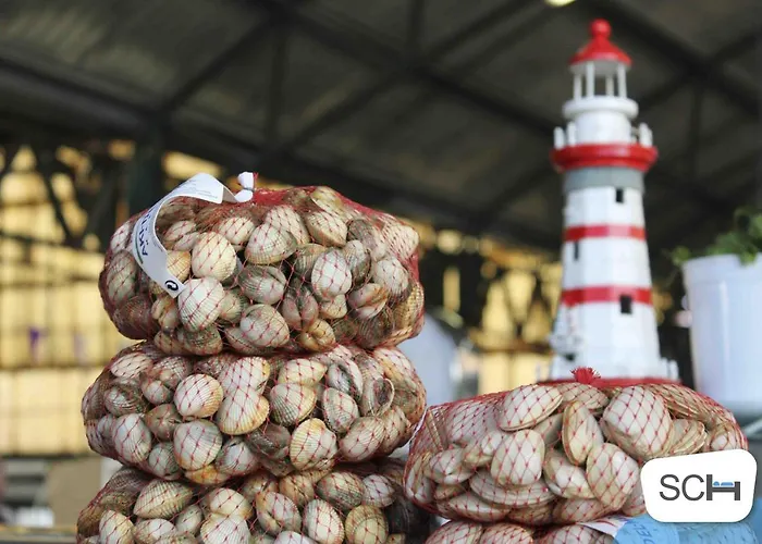 Muralha 2 - - By Sch Διαμέρισμα Ναζαρέ